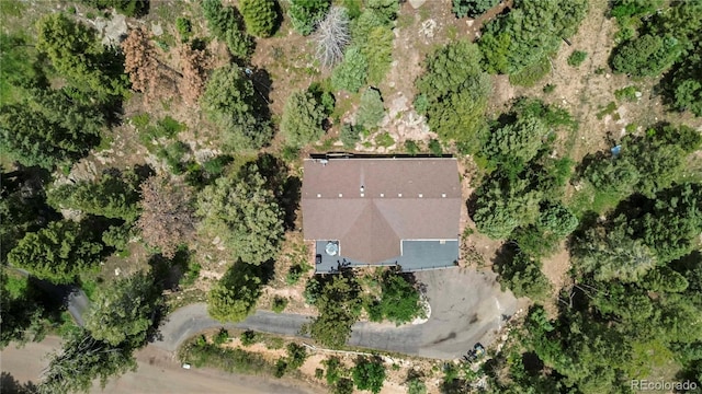 11760 Baca Rd, Conifer, CO 80433 - photo 35