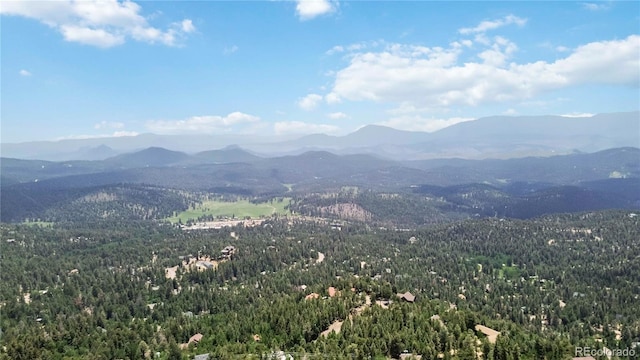 11760 Baca Rd, Conifer, CO 80433 - photo 36