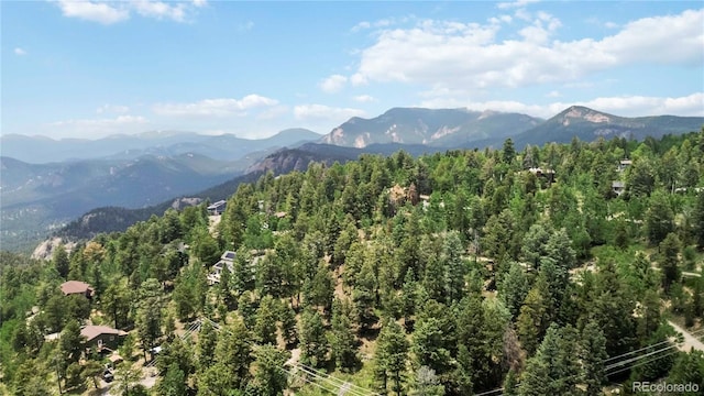 11760 Baca Rd, Conifer, CO 80433 - photo 37