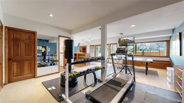 10346 E Crestridge Ln, Englewood, CO 80111 - workout area featuring healthy amount of natural light, recessed lighting, and track lighting