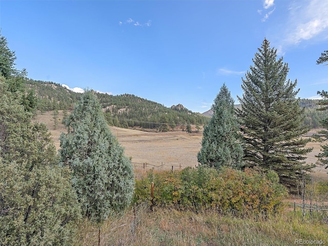 property view of mountains with a rural view