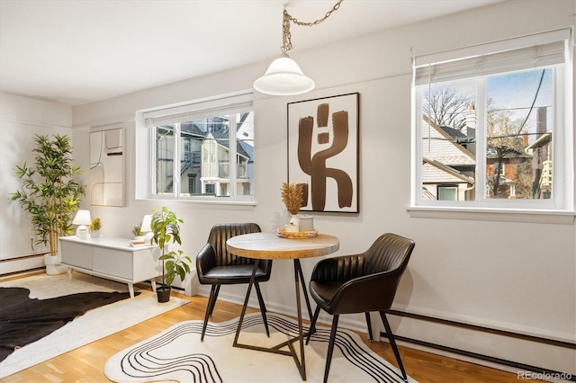 living area with hardwood / wood-style flooring, a wealth of natural light, and baseboard heating