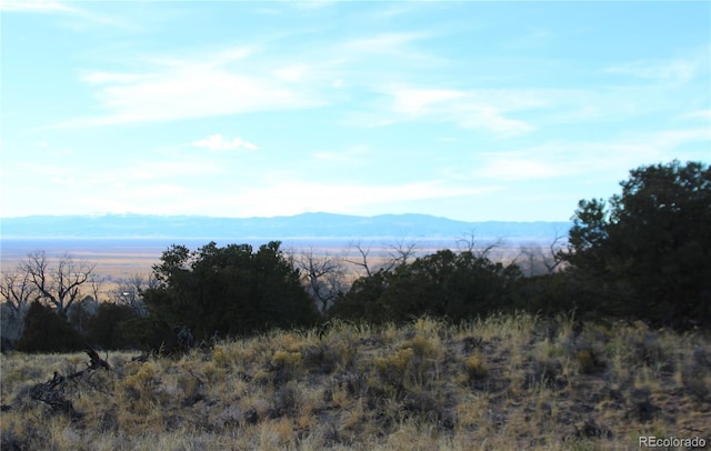 4339 Ridgecrest Ct, Crestone CO, 81311 land for sale