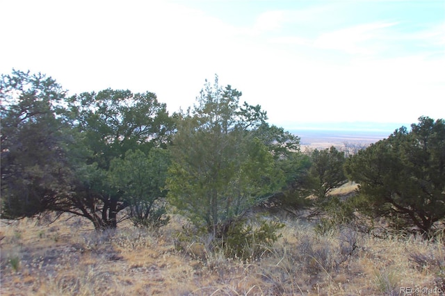 4339 Ridgecrest Ct, Crestone, CO 81131