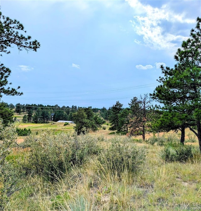 11634 Bell Cross Cir, Parker, CO 80138 - photo 1