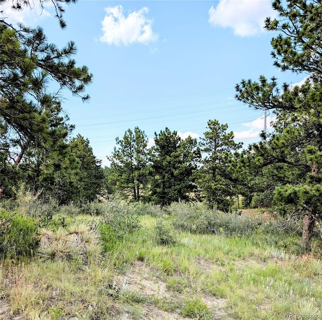 11634 Bell Cross Cir, Parker, CO 80138 - photo 5