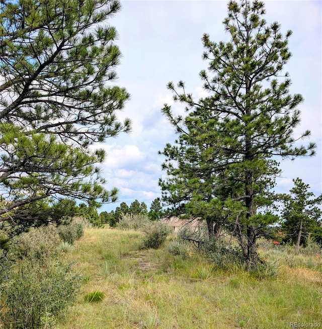 11634 Bell Cross Cir, Parker, CO 80138 - photo 8