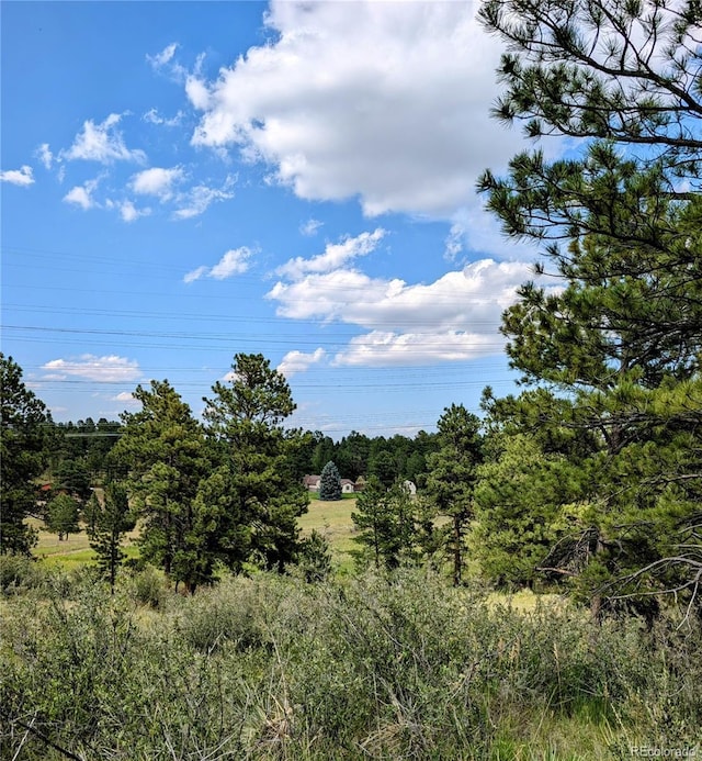 11634 Bell Cross Cir, Parker, CO 80138 - photo 9