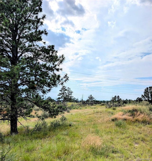 11634 Bell Cross Cir, Parker, CO 80138 - photo 10