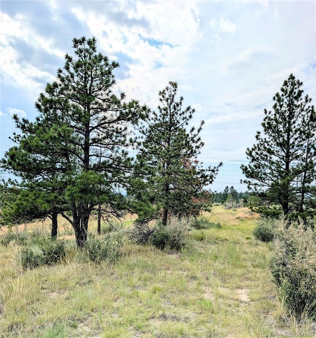 11634 Bell Cross Cir, Parker, CO 80138 - photo 12