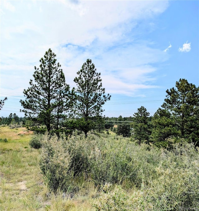 11634 Bell Cross Cir, Parker, CO 80138 - photo 13