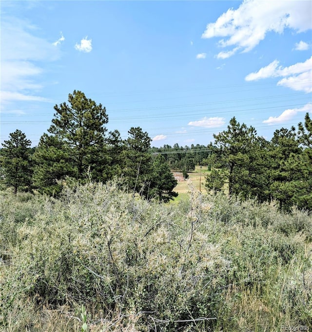 11634 Bell Cross Cir, Parker, CO 80138 - photo 14