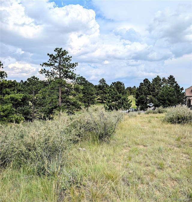 11634 Bell Cross Cir, Parker, CO 80138 - photo 15