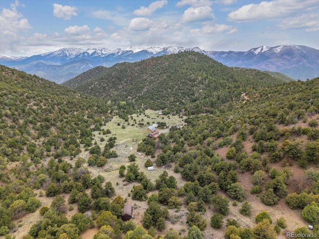 795 County Road 55, Salida, CO 81201 - photo 1