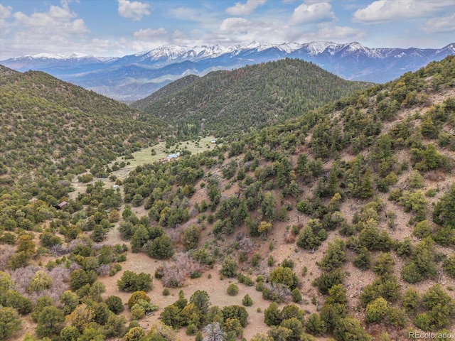 795 County Road 55, Salida, CO 81201 - photo 2