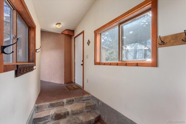 795 County Road 55, Salida, CO 81201 - photo 28