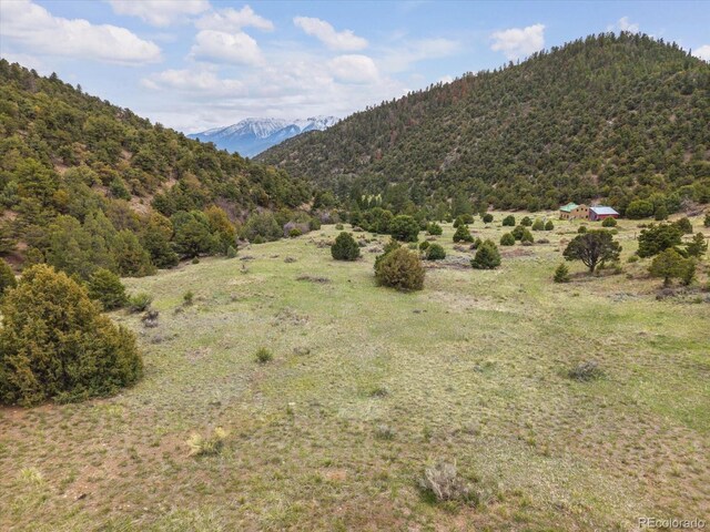 795 County Road 55, Salida, CO 81201 - photo 44