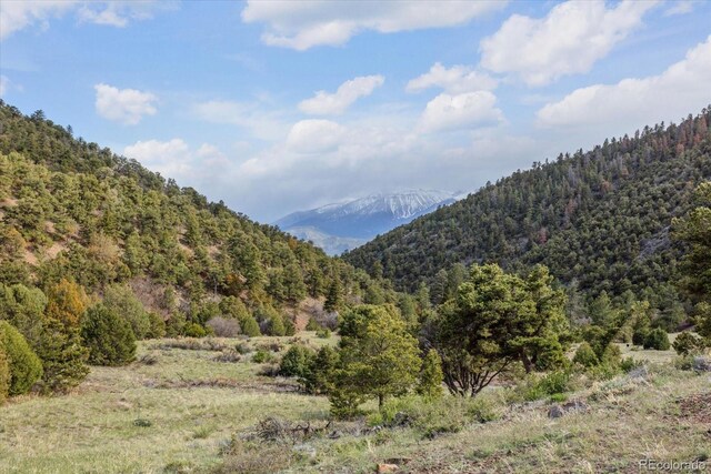 795 County Road 55, Salida, CO 81201 - photo 46