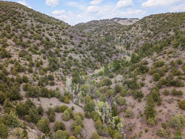 795 County Road 55, Salida, CO 81201 - photo 47