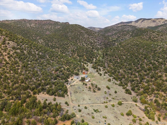 795 County Road 55, Salida, CO 81201 - photo 48