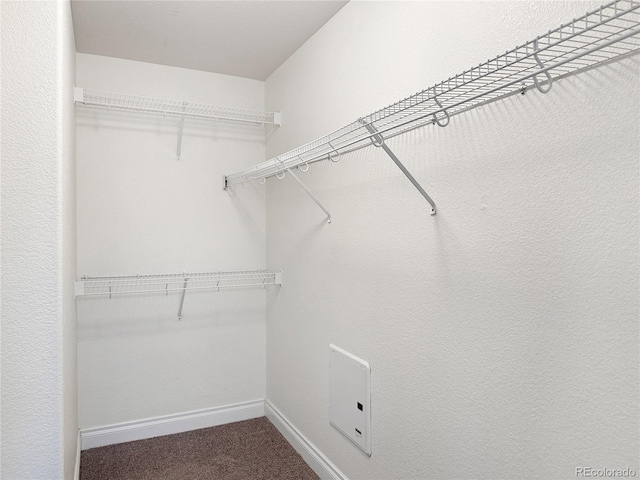 620 11th St Unit 202, Golden, CO 80401 - photo 15