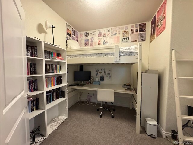 620 11th St Unit 202, Golden, CO 80401 - photo 17
