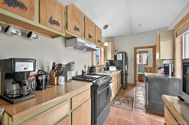 kitchen with stainless steel appliances, under cabinet range hood, a sink, vaulted ceiling, and light countertops