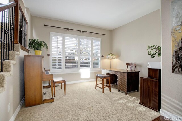 5033 Silver Feather Way, Broomfield, CO 80023 - photo 13