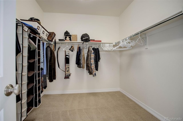 spacious closet featuring carpet