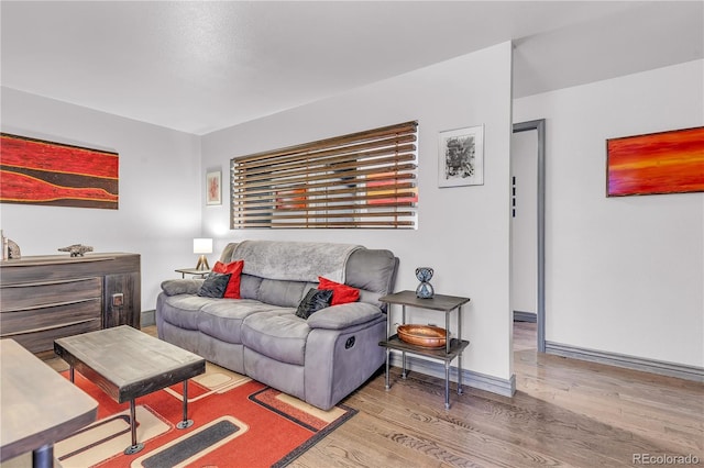 living room featuring hardwood / wood-style flooring