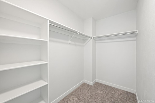 2777 S Sedalia St, Aurora, CO 80013 - walk in closet featuring carpet floors