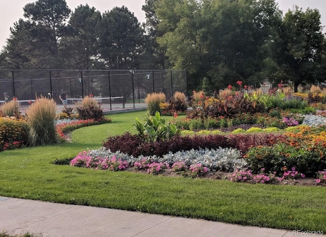 4425 E Harvard Ave, Denver, CO 80222 - view of home's community featuring a tennis court