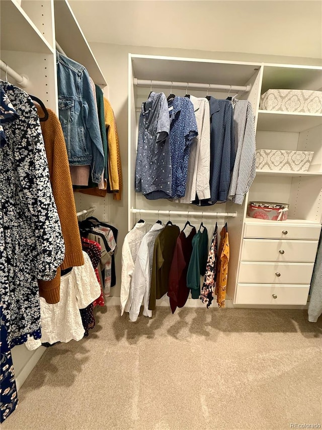 4425 E Harvard Ave, Denver, CO 80222 - walk in closet featuring carpet