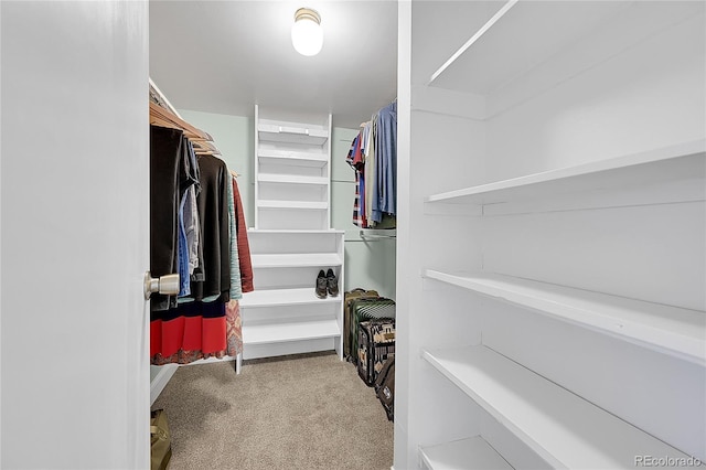 spacious closet with carpet floors