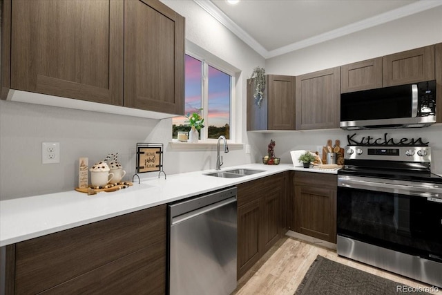 kitchen with sink, stainless steel appliances, dark brown cabinetry, ornamental molding, and light hardwood / wood-style floors