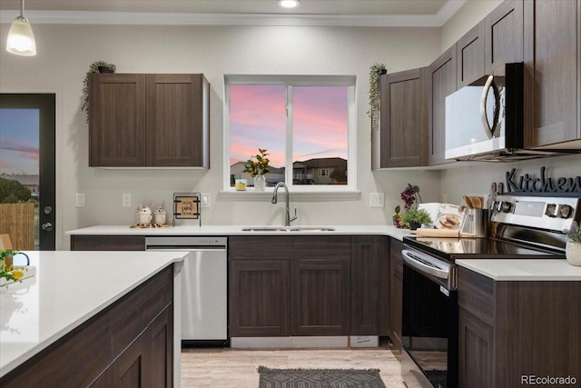 kitchen with appliances with stainless steel finishes, sink, hanging light fixtures, ornamental molding, and light wood-type flooring