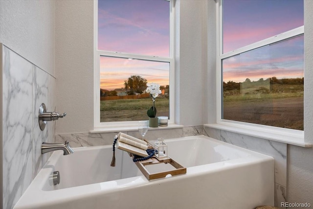 bathroom with a bath and a wealth of natural light