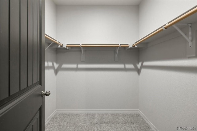 walk in closet featuring light carpet