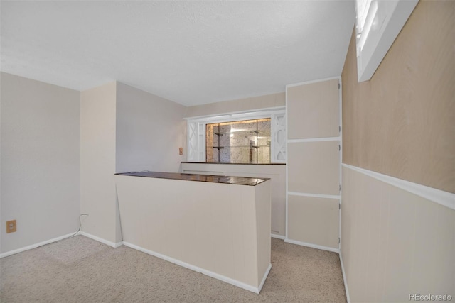 8841 Hunter Way, Westminster, CO 80031 - kitchen with carpet floors and baseboards