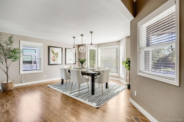 7067 Gray Fox Ct, Highlands Ranch, CO 80130 - dining area featuring baseboards, wood finished floors, and a textured wall