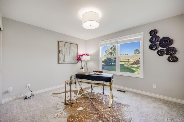 7067 Gray Fox Ct, Highlands Ranch, CO 80130 - office featuring carpet and baseboards