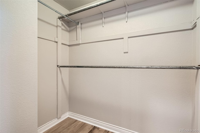 11804 Perry St, Westminster, CO 80023 - photo 10