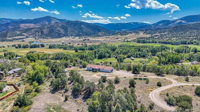 birds eye view of property with a mountain view