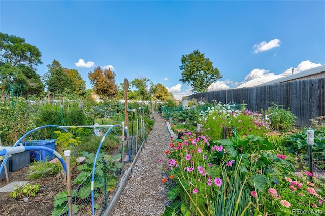13606 E Bates Ave Unit 102, Aurora, CO 80014 - fenced backyard featuring a vegetable garden