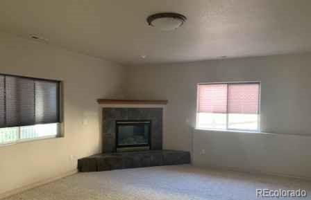 unfurnished living room with carpet floors