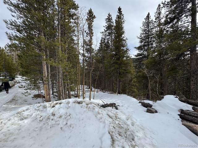 Listing photo 3 for 649 Vista Rd, Idaho Springs CO 80452