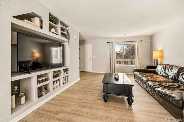 living room featuring light hardwood / wood-style floors and built in features