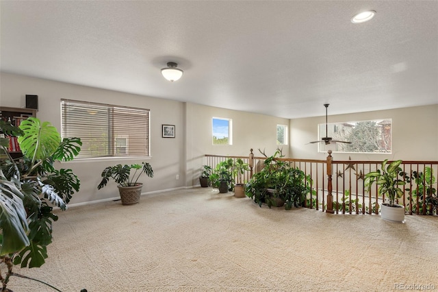 13415 Kearney St, Thornton, CO 80602 - sitting room with carpet flooring, baseboards, a ceiling fan, and a textured ceiling