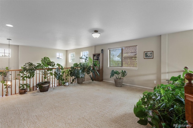 13415 Kearney St, Thornton, CO 80602 - sitting room with carpet flooring and baseboards