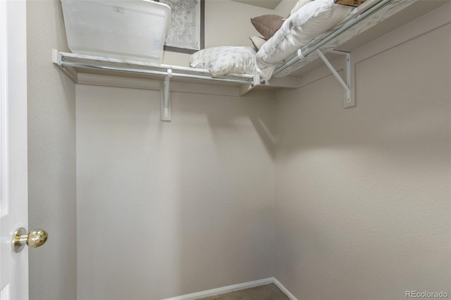 13415 Kearney St, Thornton, CO 80602 - walk in closet with carpet